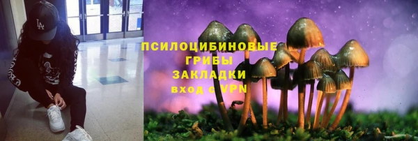 винт Лабытнанги