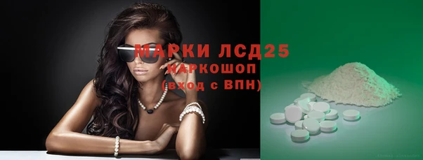 крисы Кулебаки