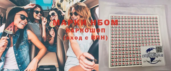 крисы Кулебаки