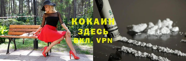гидра Лагань